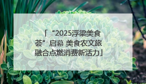 “2025浮梁美食荟”启幕 美食农文旅融合点燃消费新活力