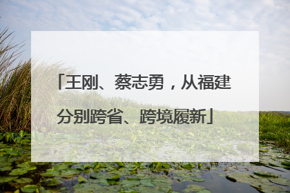 王刚、蔡志勇，从福建分别跨省、跨境履新