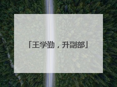 王学勤，升副部