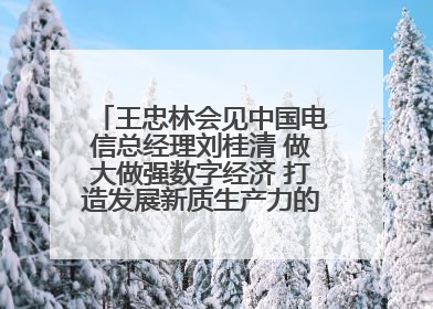王忠林会见中国电信总经理刘桂清 做大做强数字经济 打造发展新质生产力的强劲引擎