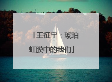 王征宇：琥珀虹膜中的我们