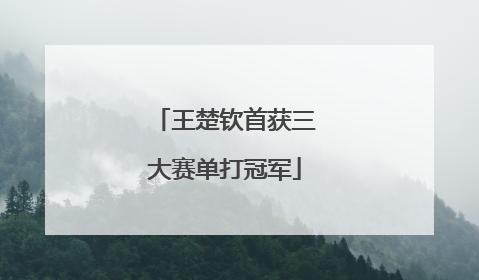 王楚钦首获三大赛单打冠军