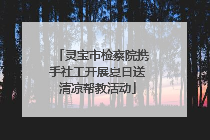 灵宝市检察院携手社工开展夏日送清凉帮教活动