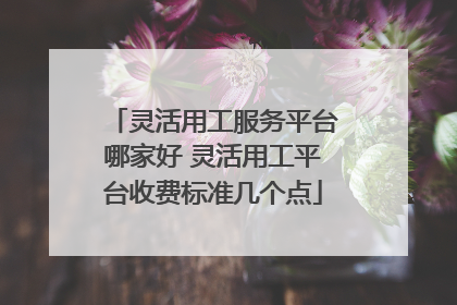 灵活用工服务平台哪家好 灵活用工平台收费标准几个点