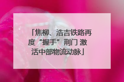 焦柳、浩吉铁路再度“握手”荆门 激活中部物流动脉