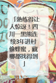 熟练得让人惊讶！四川一黑熊连续3年进村偷蜂蜜，藏哪都找得到
