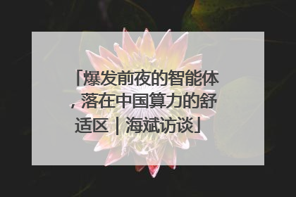 爆发前夜的智能体，落在中国算力的舒适区｜海斌访谈