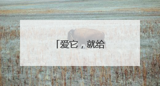 爱它，就给它自由！