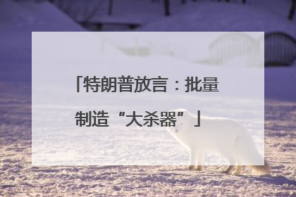 特朗普放言：批量制造“大杀器”