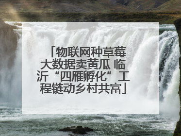物联网种草莓 大数据卖黄瓜 临沂“四雁孵化”工程链动乡村共富