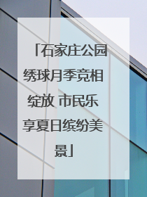 石家庄公园绣球月季竞相绽放 市民乐享夏日缤纷美景