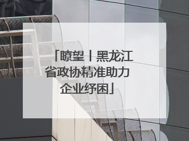 瞭望丨黑龙江省政协精准助力企业纾困