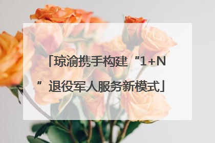 琼渝携手构建“1+N”退役军人服务新模式