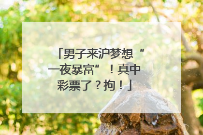 男子来沪梦想“一夜暴富”！真中彩票了？拘！