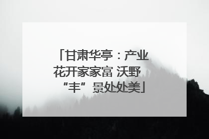 甘肃华亭：产业花开家家富 沃野“丰”景处处美