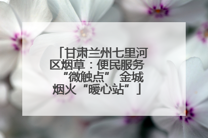 甘肃兰州七里河区烟草：便民服务“微触点” 金城烟火“暖心站”