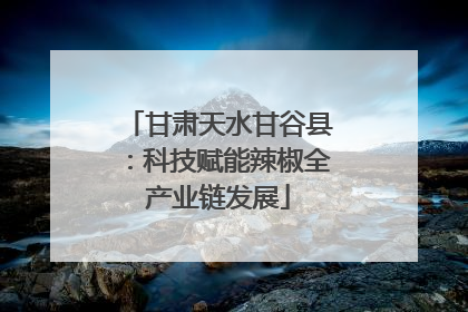 甘肃天水甘谷县：科技赋能辣椒全产业链发展