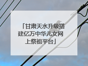 甘肃天水升级搭建亿万中华儿女网上祭祖平台