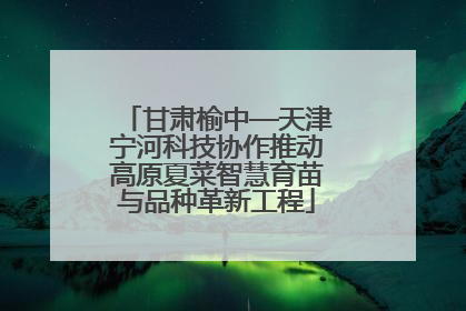 甘肃榆中—天津宁河科技协作推动高原夏菜智慧育苗与品种革新工程