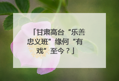 甘肃高台“乐善忠义班”缘何“有戏”至今？