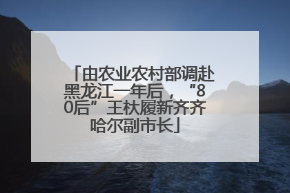 由农业农村部调赴黑龙江一年后，“80后”王杕履新齐齐哈尔副市长