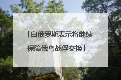 白俄罗斯表示将继续保障俄乌战俘交换