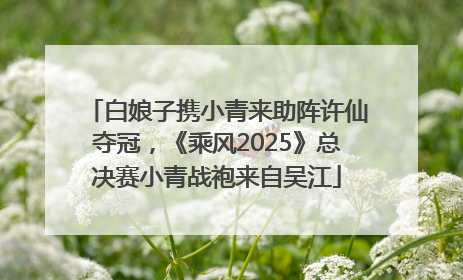 白娘子携小青来助阵许仙夺冠，《乘风2025》总决赛小青战袍来自吴江