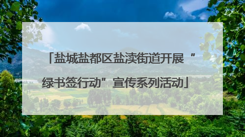 盐城盐都区盐渎街道开展“绿书签行动”宣传系列活动