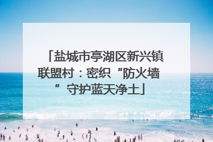 盐城市亭湖区新兴镇联盟村：密织“防火墙”守护蓝天净土
