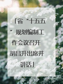 省“十五五”规划编制工作会议召开 胡昌升出席并讲话