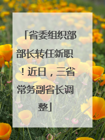 省委组织部部长转任新职！近日，三省常务副省长调整