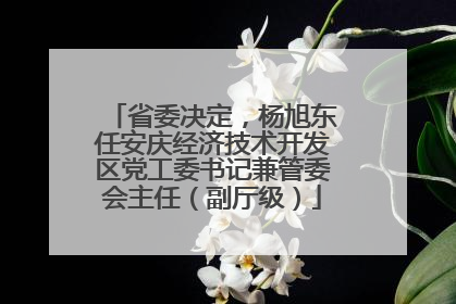 省委决定，杨旭东任安庆经济技术开发区党工委书记兼管委会主任（副厅级）