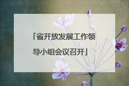 省开放发展工作领导小组会议召开