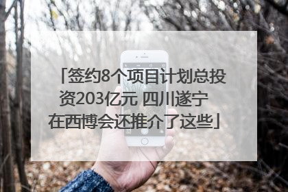 签约8个项目计划总投资203亿元 四川遂宁在西博会还推介了这些