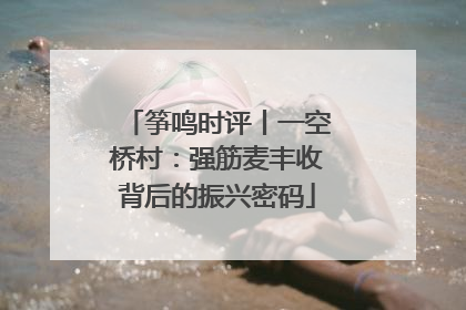 筝鸣时评丨一空桥村：强筋麦丰收背后的振兴密码