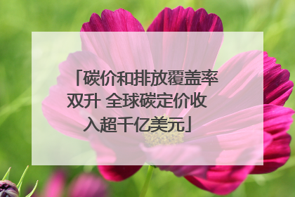 碳价和排放覆盖率双升 全球碳定价收入超千亿美元