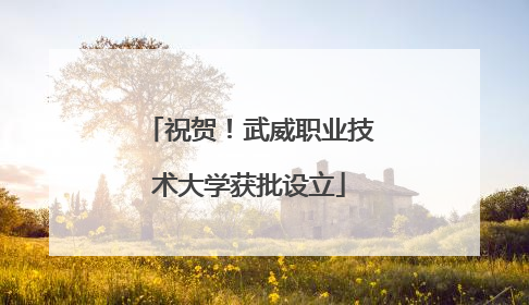祝贺！武威职业技术大学获批设立