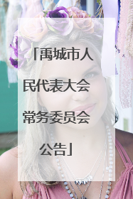 禹城市人民代表大会常务委员会公告