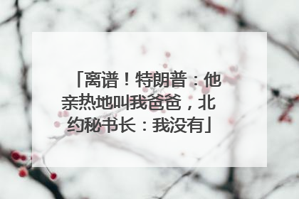 离谱！特朗普：他亲热地叫我爸爸，北约秘书长：我没有
