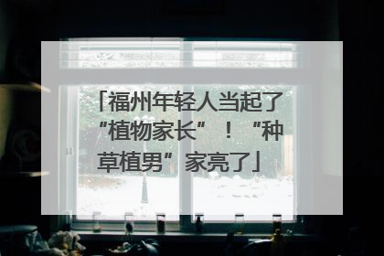 福州年轻人当起了“植物家长”！“种草植男”家亮了