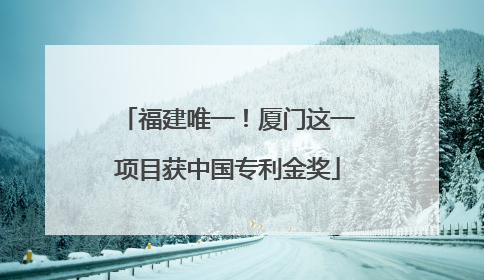 福建唯一！厦门这一项目获中国专利金奖