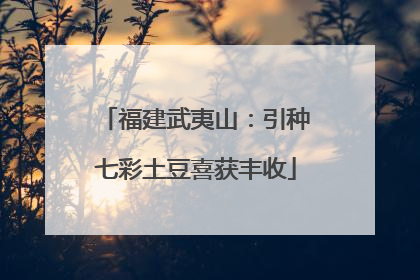 福建武夷山：引种七彩土豆喜获丰收