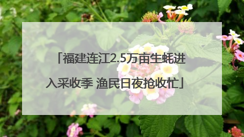 福建连江2.5万亩生蚝进入采收季 渔民日夜抢收忙