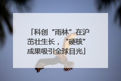 科创“雨林”在沪茁壮生长，“硬核”成果吸引全球目光