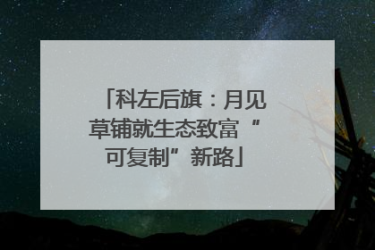 科左后旗：月见草铺就生态致富“可复制”新路