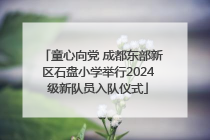 童心向党 成都东部新区石盘小学举行2024级新队员入队仪式