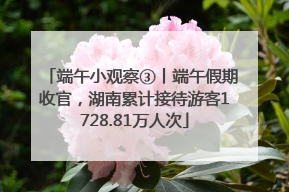 端午小观察③丨端午假期收官，湖南累计接待游客1728.81万人次