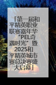 第一届和平精英职业联赛嘉年华“PEL奇遇时光”暨2025和平精英城市赛总决赛盛大启幕