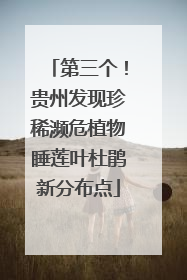 第三个！贵州发现珍稀濒危植物睡莲叶杜鹃新分布点