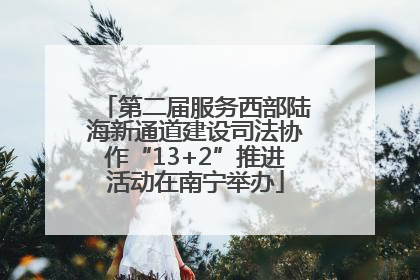 第二届服务西部陆海新通道建设司法协作“13+2”推进活动在南宁举办